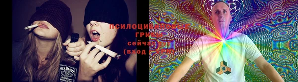 амф Белокуриха